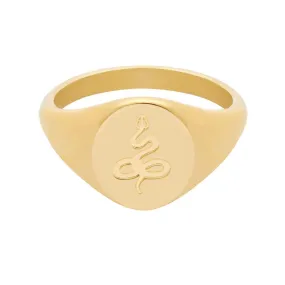 Embellished Snake Signet Ring