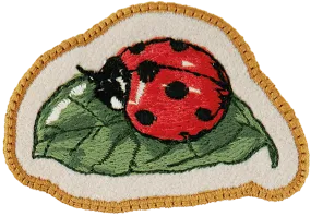 Ladybug Patch